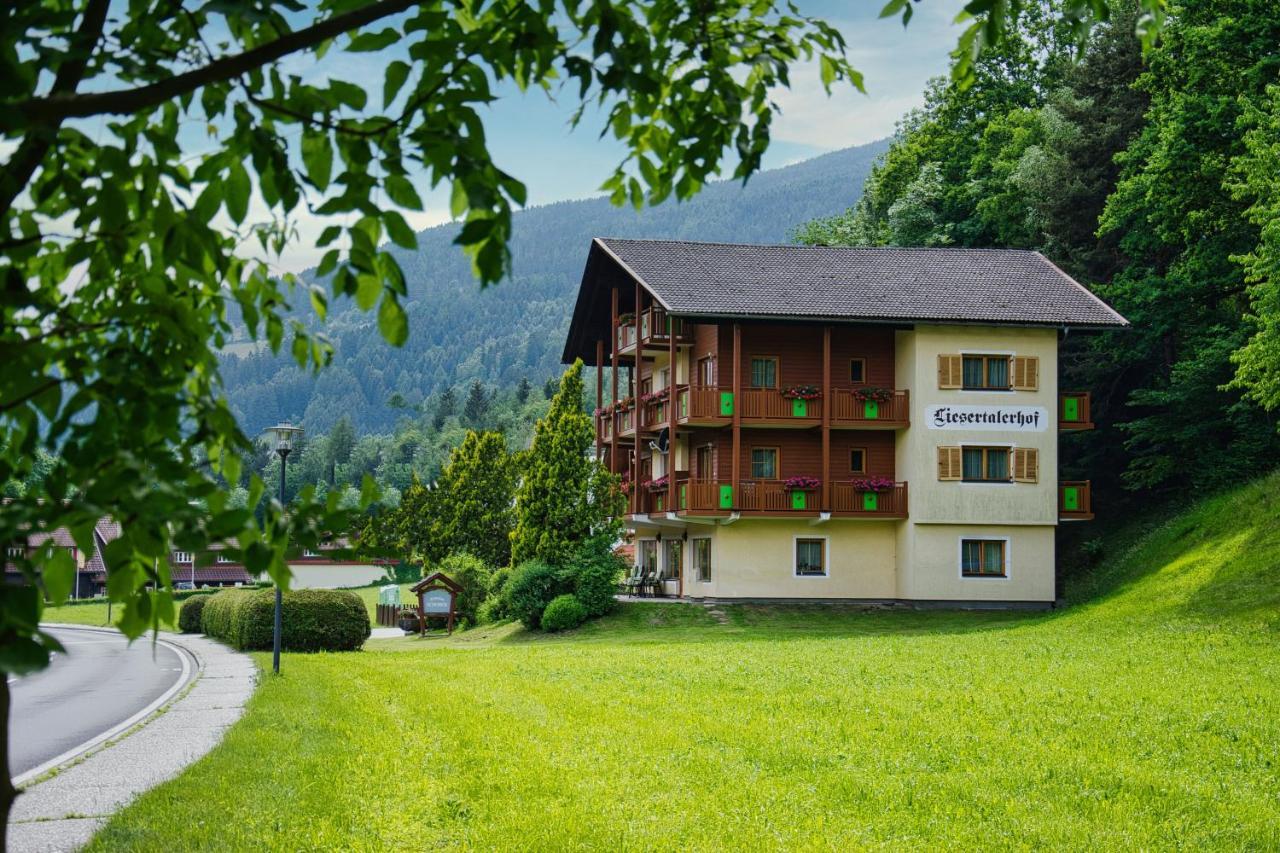 Pension Liesertalerhof Требезинг Экстерьер фото